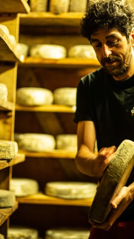 Cave d'affinage de la Fromagerie de la Germillotte à Andouillé-Neuville, tommes au lait cru sur les planches